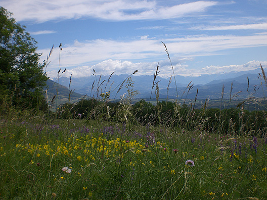 Zomer op La Montagne